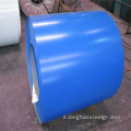 Q235 Coil in acciaio zincato preparato